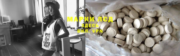 стаф Абинск