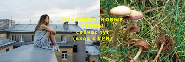 метадон Алзамай