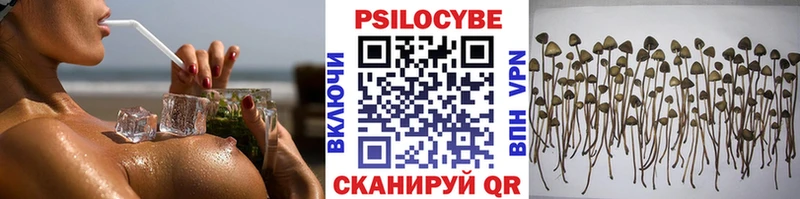 Псилоцибиновые грибы Magic Shrooms  наркота  Ивдель 